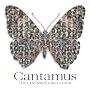 Cantamus