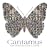 Cantamus