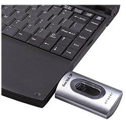 SanDisk Cruzer with 256 MB Secure Digital Memory