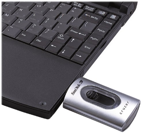 SanDisk Cruzer with 256 MB Secure Digital Memory