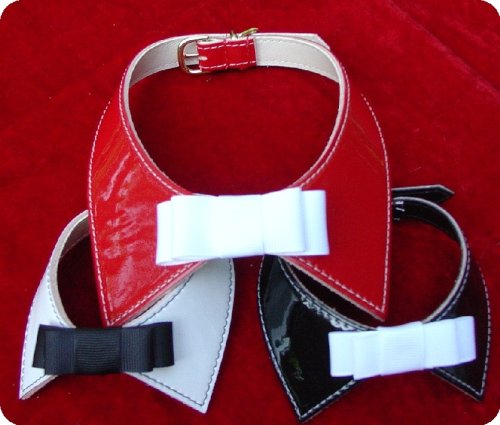 Pantone Tuxedo Collar-WHITE-16 inch