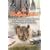 The Hellpig Hunt: A Hunting Adventure in the Wild Wetlands at the Mouth of the Mississippi River by Middle Aged Lunatics Who Refuse to Grow Up
