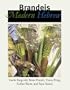 Brandeis Modern Hebrew: Hebrew in Context