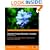 Business Process Execution Language for Web Services : BPEL and BPEL4WS