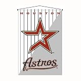 Biederlack Houston Astros Deluxe Wall Hanging
