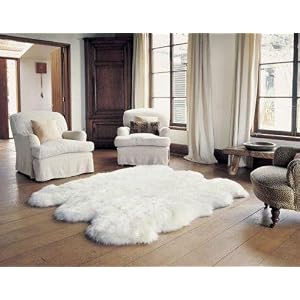 Wool Area Rugs