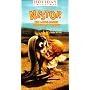 Nestor the Long Eared Christmas Donkey [VHS]