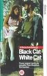 Black Cat White Cat [VHS] [1999]