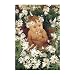 Schmidt Spiele - Puzzle 500 pièces - Anne Geddes : Bébé fleur