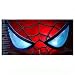 Spiderman - Bath - Spiderman Mask California Beach Towel
