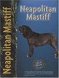 Neapolitan Mastiff (Pet love)