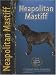 Neapolitan Mastiff (Pet love)