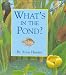 What's in the Pond? (Hidden Life)