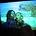 The Submarines