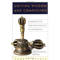 Uniting Wisdom and Compassion: Illuminating the Thirty Seven Practices of a Bodhisattva