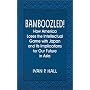 Bamboozled!: How America Loses the Intellectual Game With Japan and Its Implications for Our Future in Asia