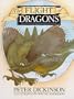 The Flight of Dragons
