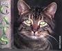 Just Cats