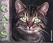 Book Just Cats 2004 Calendar