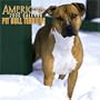 American Pit Bull Terriers 2006 Calendar