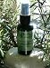 Sanctify - White Sage No-Fire Incense Aromatherapy Mister