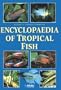 Encyclopedia of Tropical Fish