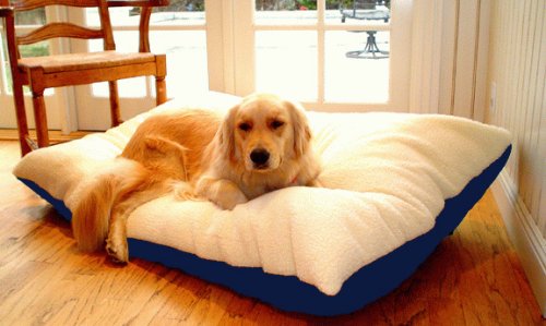 Extra Large 42×60 Rectangle Dog Pet Bed – Blue