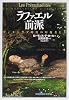 ラファエル前派―ヴィクトリア時代の幻視者たち (「知の再発見」双書)