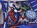 The Amazing Spider-man Pillowcase
