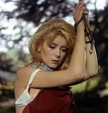 Belle de Jour (The Criterion Collection) [Blu-ray]