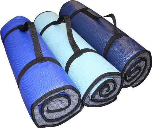 FITPAWS K9Fitbed With Stretching Poster Training Accessory for Dogs Size S