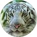 Kitchen & Housewares : WHITE TIGER on Green Fridge Magenet