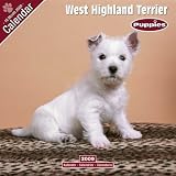 PUPPIES: West Highland Terrier 2009 Wall Calendar 12 X 12