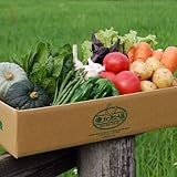 東北牧場 有機野菜10種 SSサイズセット