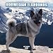 Norwegian Elkhounds 2007 Calendar