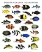 Aquarium Fish - Atelier nouvelles images Art Print Poster 16 x 20