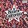 HOTARU CALIFORNIA [DVD]