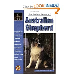 The Guide to Owning an Australian Shepherd
