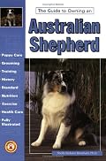The Guide to Owning an Australian Shepherd