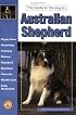 The Guide to Owning an Australian Shepherd