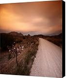 road to nowhere Canvas Print / Canvas Art - Artist Angel Tarantella