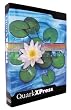 QUARKXPRESS PASSPORT 6.0 WINDOW ( 119870 )