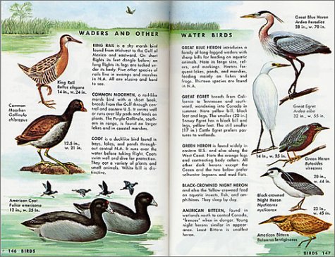 Pond Life: Revised and Updated (A Golden Guide from St. Martin's Press) under Aquatic Life in The Books Store