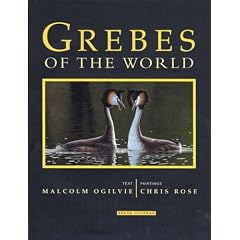 Grebes of the World