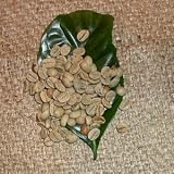 �u���W���@�Z���[�h�@���㊮�n �i������200g�j�u����20%���ʒ��I�v-���i�ה҂��j-�������i���[�X�gNo.4)