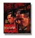 Search : Enemy at the Door - Series 2 (6 Volume Boxed Set)