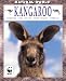 Kangaroo (Natural World)