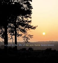 A Year in the Life of the New Forest