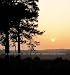 A Year in the Life of the New Forest
