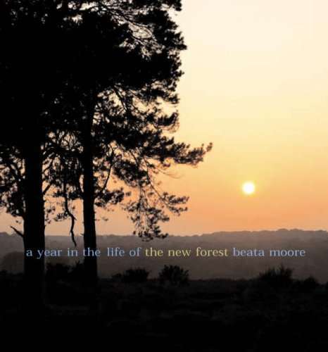 A Year in the Life of the New Forest